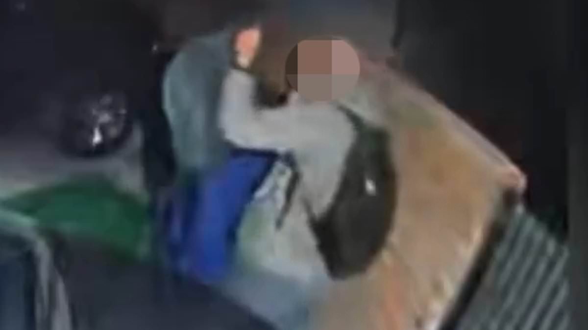 Tucson man wearing similar backpack to Nancy Guthrie kidnapper seen trying to scale wall on evening of abduction