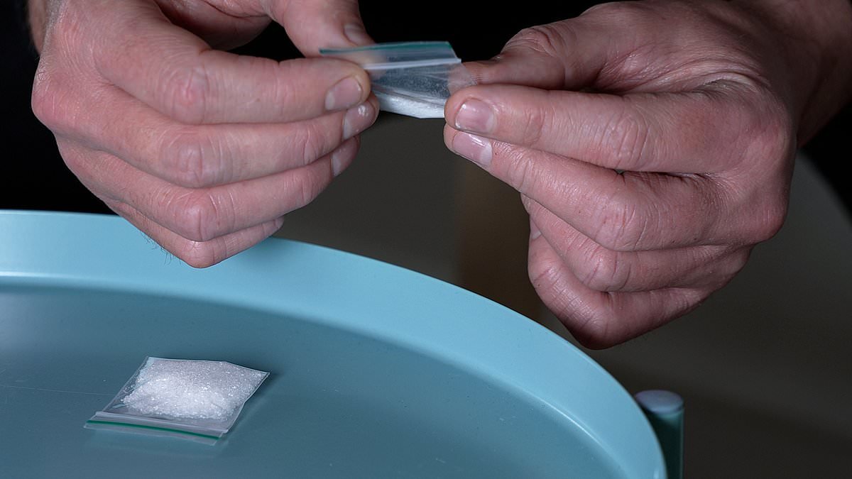 Drug seizures hit highest level since 1973 as cocaine, cannabis and ketamine confiscations drive massive 24 per cent jump