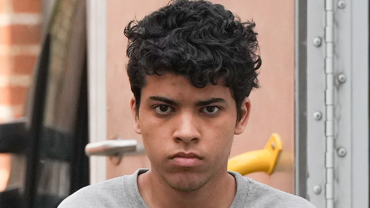 Teen obsessed with Chucky horror films beat his father to death before attacking his mother and boy, 11, in his own home