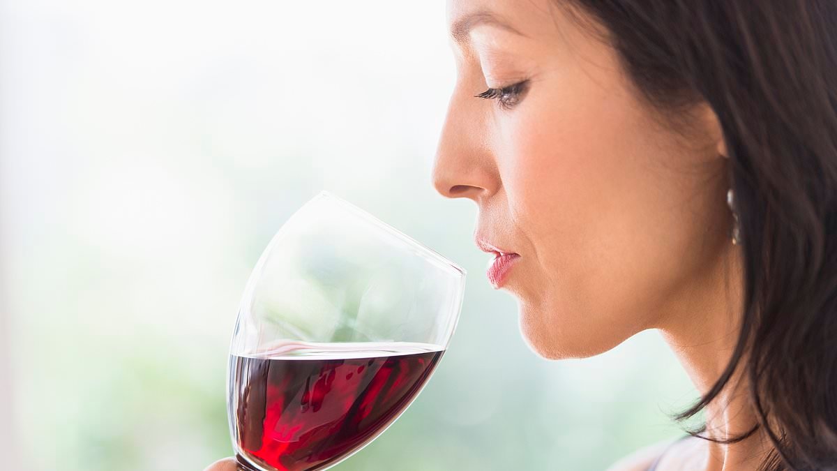 The truth about what happens if you drink more than 14 units of alcohol a week - and how much it shortens your life by (and it's shorter than you think)