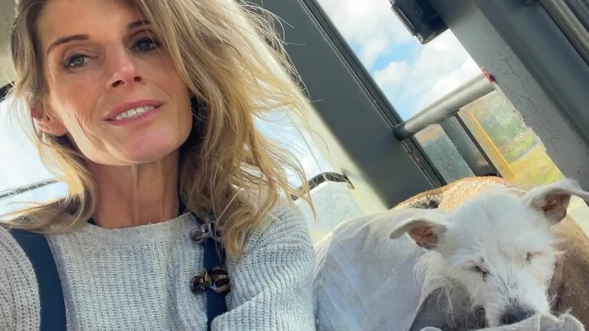 Our Yorkshire Farm fans 'get their hankies ready' as Amanda Owen confirms final episode will air next week - and documents Ravenseat loss that 'tugs on the heartstrings'