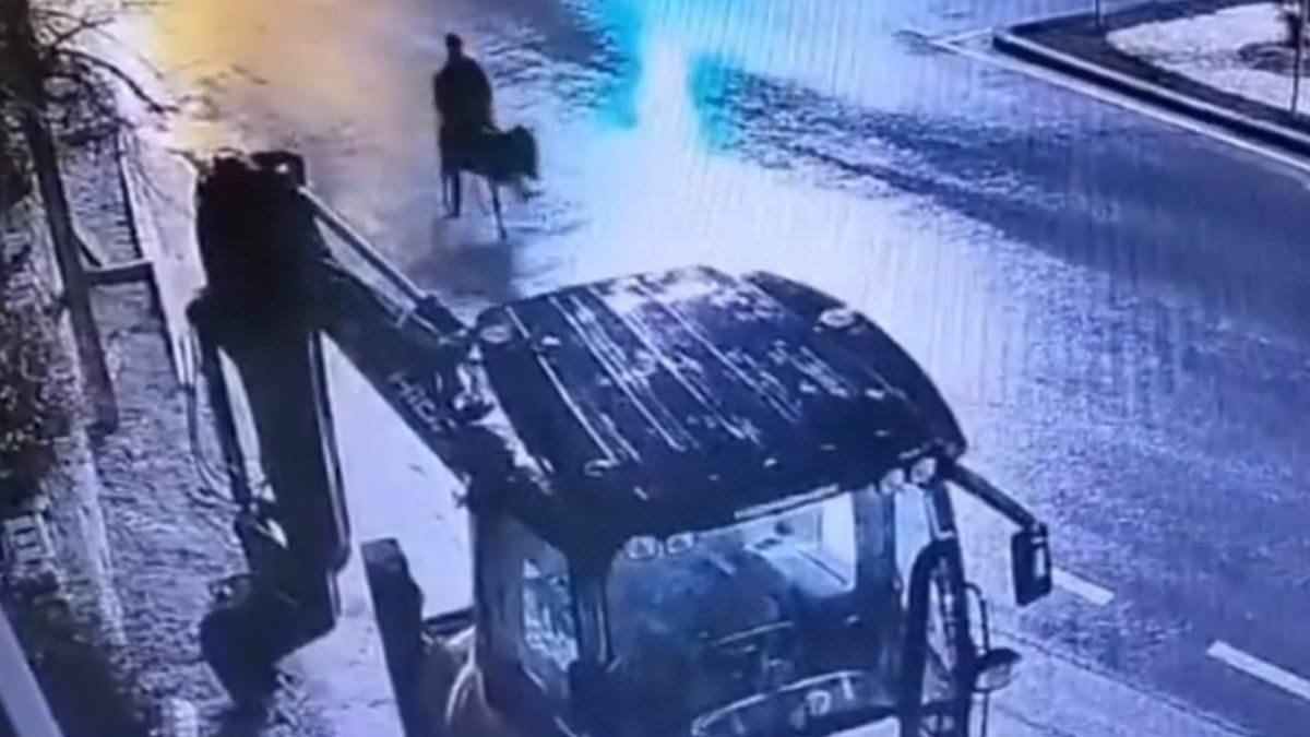 Get your ass into gear! Gold thief escapes on getaway donkey