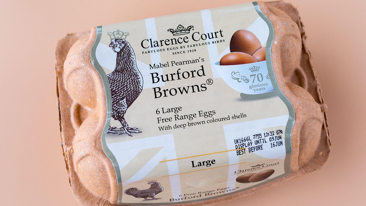 As Sainsbury's dramatically STOPS selling brown eggs, Mail investigation reveals startling truth about what really goes into creating the wholesome looking shell and deep, golden yolk of middle-class favourite, Burford Browns