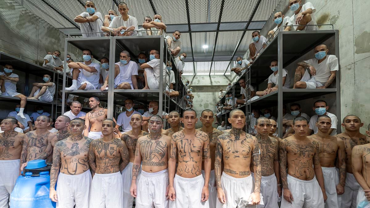 Inside the prison of the living dead: DAVID JONES goes deep into El Salvador's godforsaken 40,000 capacity mega prison... and his account will shake you to the core
